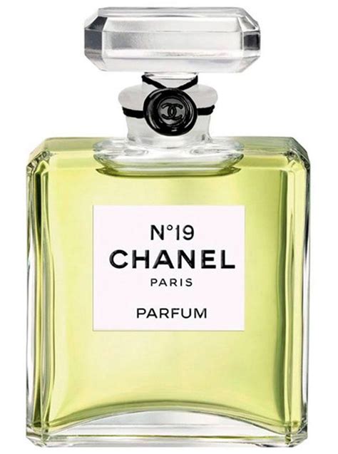 buy chanel no 19 perfume|chanel no 19 perfume vintage.